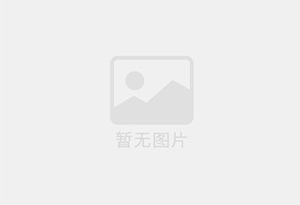 美国OPW进口球式止回阀